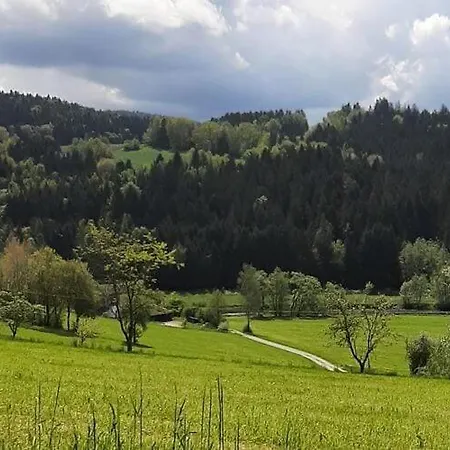 Апартаменты Ferienwohnung In